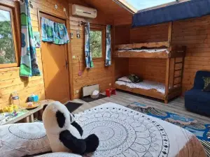 Les Dauphins de Mareuil