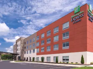 홀리데이 인 익스프레스 & 스위트 팜빌 바이 IHG