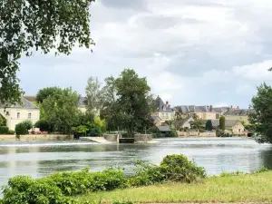 Gîte les Hortensias