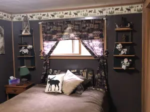 Cozy cabin in the woods by Lake Nokomis and Bearskin trails