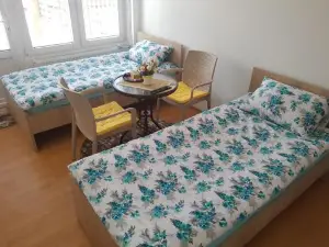 Apartment Elmari