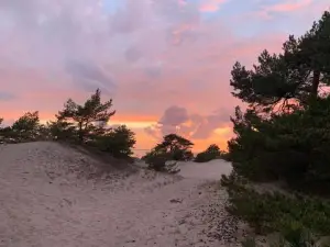 Przyczepy Camping Kormoran - HEL - Półwysep Helski