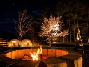 BaCo Resort