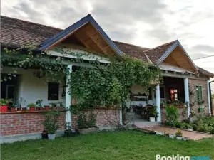 Amanet House Zasavica