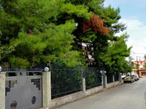 Vacations in Patra Studios