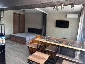 LUX one-room apartment. CENTER.