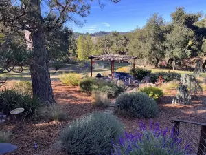 Central Coast Getaway, Meadow, Wildlife, Hot-Tub, Pet-Friendly, and Great Roads,