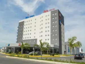 Ibis Lorena
