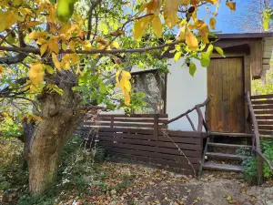 室內按摩浴缸小屋