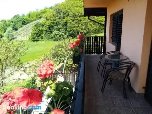 Apartman Potocki