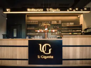 Wellness Penzion U Gigantu