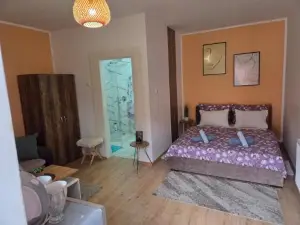 Zen Apartman 7