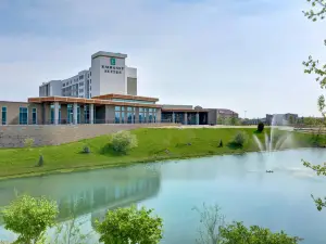 普蘭菲爾德印第安納波利斯機場希爾頓安泊酒店