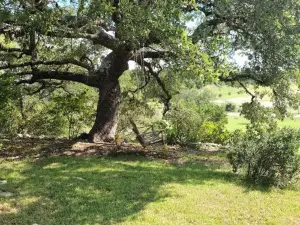 Hill Country Haute n Haus Relax and Renew