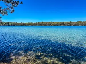 Relax and getaway from it all at Johnson's Lake retreat: Backus Bliss