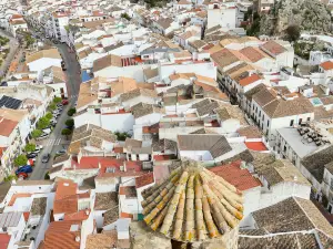 Lemon Tree Patio-Mountain View, Delightful Home in Olvera-Cadiz-Andalucia-Spain