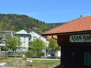Wander- und Aktivhotel Adam Bräu