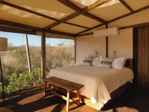 Viatura Hacienda Xtojil, Yucatan, 梅尼達, 可選全包
