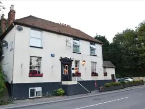 The Old Alma