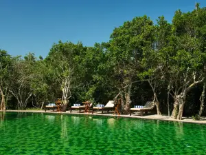 悠閣·野奢營（雅拉·全包）