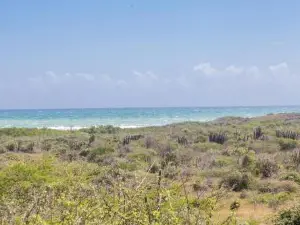 Hellshire Portmore Vacation Home
