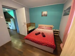 Nikola's House