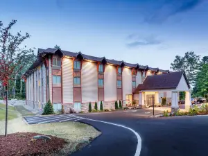 The Chandler at White Mountains, an Ascend Hotel Collection Membe
