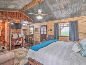 Updated Studio Cabin in Ozark w/ Yard & Mtn View