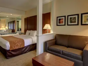 Comfort Suites Cumming-Atlanta Near Northside Hospital Forsyth