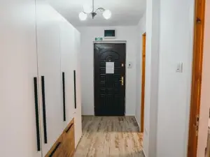 Insomnia Studio