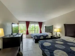 Executive Inn