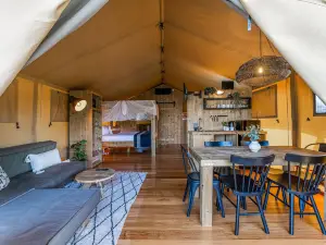 Big4 Tasman Holiday Parks - Bendigo