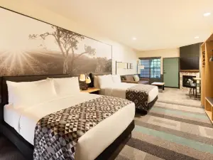 Mountain Modern Sedona, Tapestry Collection by Hilton