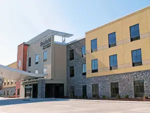 Fairfield Inn & Suites St. Louis South