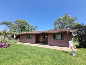 Texas Limache