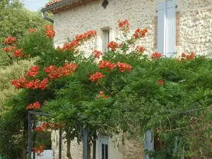 Domaine De Cimélia
