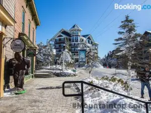 ML217 Whimsical Retreat Close to Village Ballhooter EZ Park Wi-Fi Sleeps 4