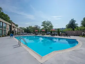 Hotel Mtk Mount Kisco