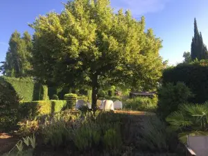 B&B Petite Maison le Jardin