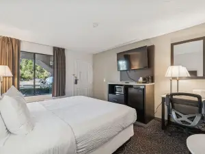 廟台-坦帕北華美達飯店