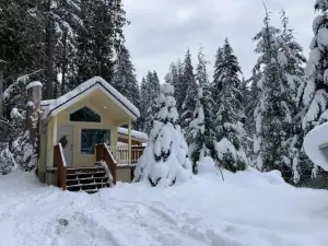 New Tiny Home Steps Away From Mt. Rainier