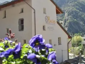 Hotel Ad Gallias
