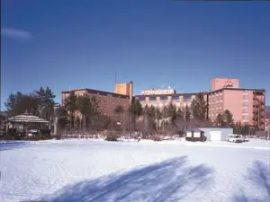 Hotel Daiheigen