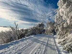 Modern Mount Buller Chalet Village Location Sleeps 12