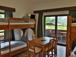 Pension Almhof Baumgarten飯店