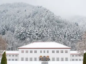 The LaLit Grand Palace Srinagar