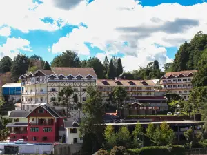 Hotel Leão da Montanha