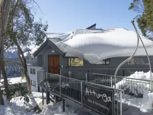 Attunga Alpine Lodge & Apartments