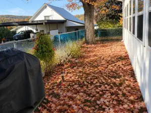 Cozy Basement Retreat in Bancroft