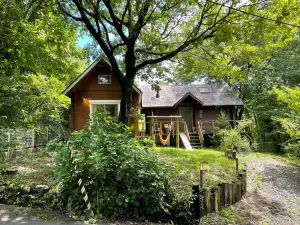 BungalowDog ok